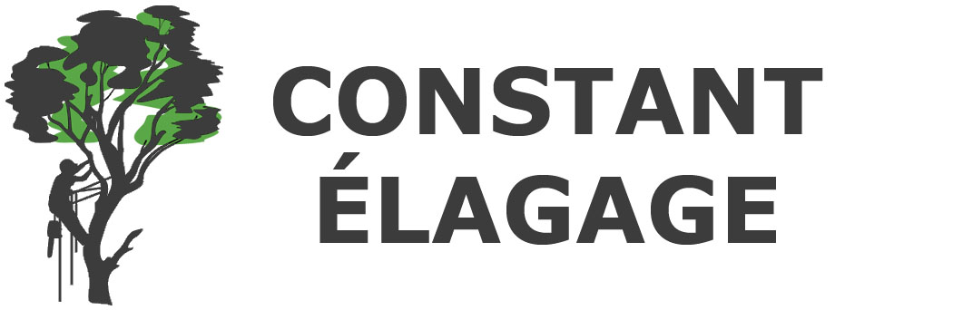 Constant Élagage