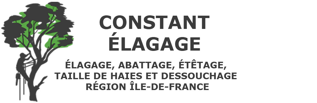 Constant Élagage